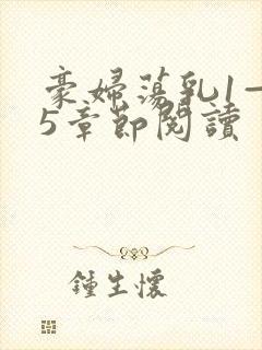 豪妇荡乳1—15章节阅读