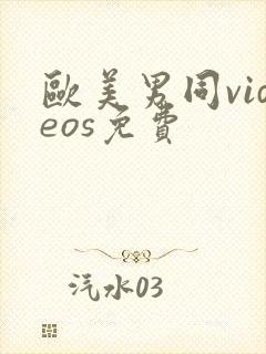 欧美男同videos免费封面