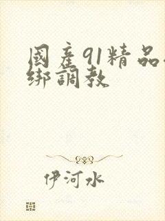 国产91精品捆绑调教