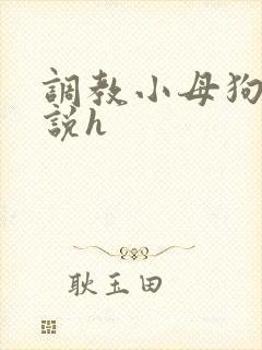 调教小母狗类小说h