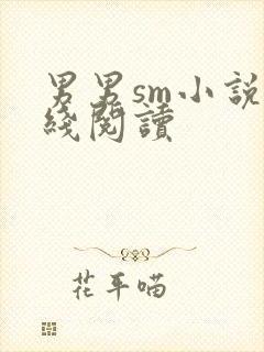 男男sm小说在线阅读