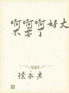 啊啊啊好大好爽不要了封面