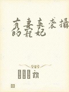 有妻来袭摄政王的宠妃封面