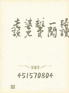 老婆离一归二小说免费阅读全文