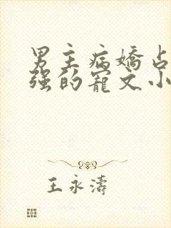 男主病娇占有欲强的宠文小说推荐