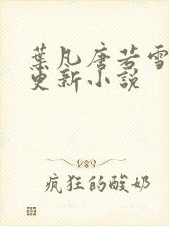 叶凡唐若雪最新更新小说封面