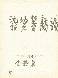 沈幼楚许流年小说免费阅读最新章节