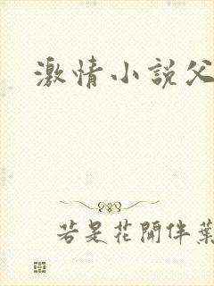 激情小说父女封面