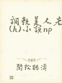 调教美人老师高(h)小说np封面
