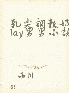 乳尖调教奶头play男男小说