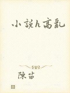 小说h高乱