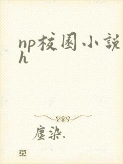 np校园小说高h