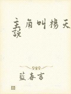 主角叫杨天的小说