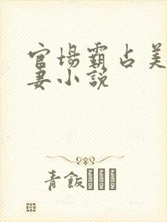 官场霸占美丽人妻小说