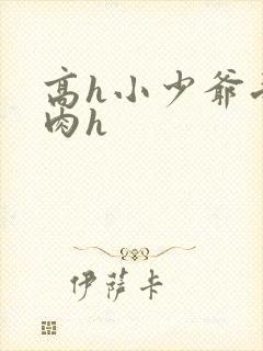 高h小少爷受荡肉h