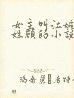 女主叫江婉男主姓顾的小说封面