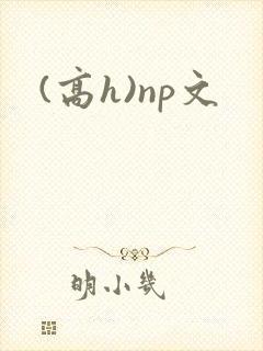 (高h)np文