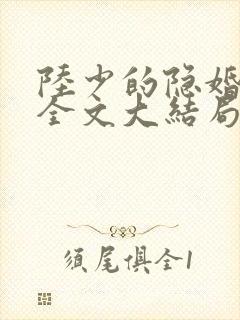 陆少的隐婚罪妻全文大结局封面