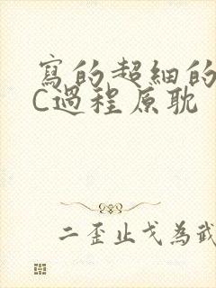 写的超细的多肉C过程原耽