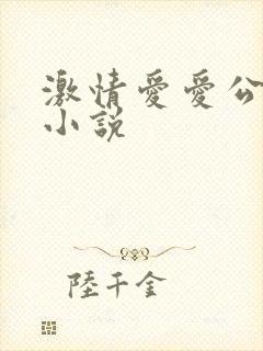 激情爱爱公交车小说封面