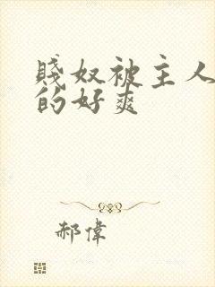 贱奴被主人调教的好爽封面