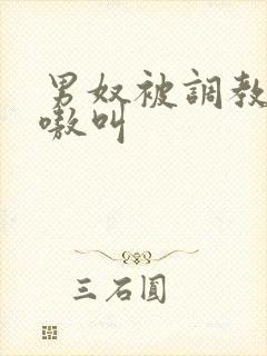 男奴被调教的嗷嗷叫