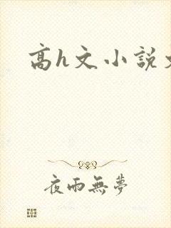 高h文小说文