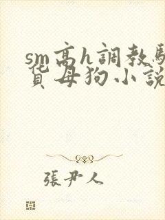sm高h调教骚货母狗小说封面
