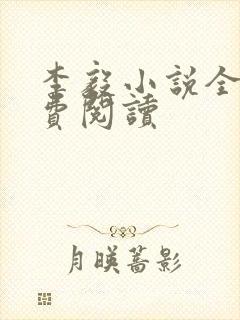 李毅小说全文免费阅读