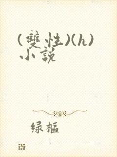 (双性)(h)小说