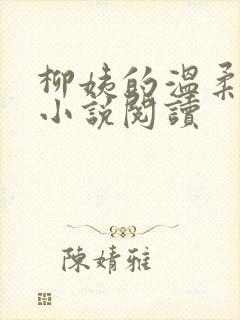 柳姨的温柔无心小说阅读