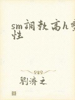 sm调教高h双性