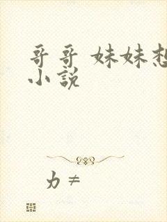 哥哥 妹妹想要小说