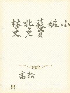 林北苏婉小说全文免费