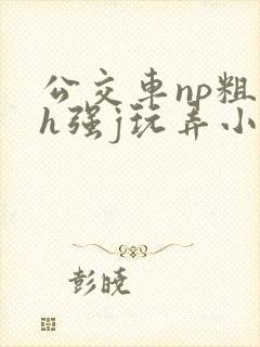 公交车np粗暴h强j玩弄小说