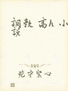 调教 高h 小说封面