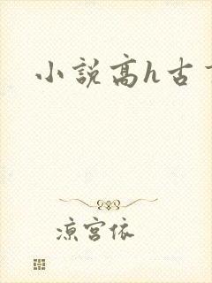 小说高h古言