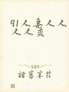 91人妻人人妻人人爽