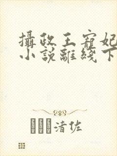 摄政王宠妃日常小说离线下载