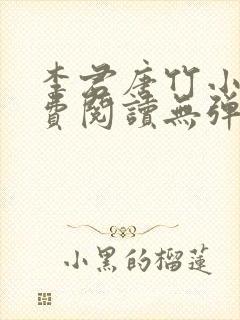 李君唐竹小说免费阅读无弹窗全文