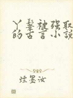 丫鬟被强取豪夺的古言小说