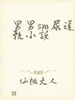 男男sm尿道调教小说