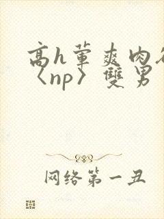 高h荤爽肉欲文〈np〉双男