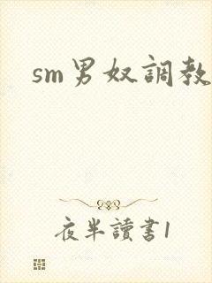 sm男奴调教文