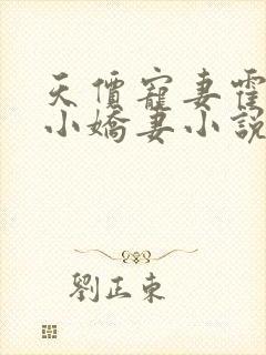 天价宠妻霍总的小娇妻小说全文免费阅读封面