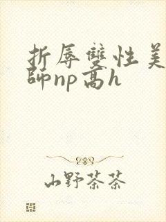 折辱双性美人军师np高h