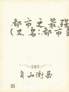 都市之最强狂兵(又名:都市狂枭) 大红大紫封面