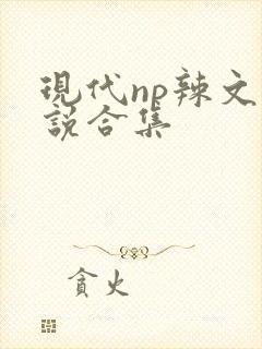 现代np辣文小说合集