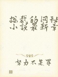 总裁的网秘情人小说最新章节阅读全文封面