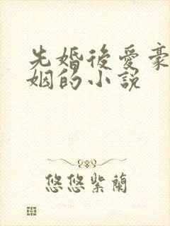 先婚后爱豪门联姻的小说